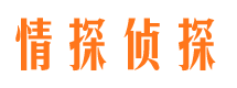 田阳市场调查